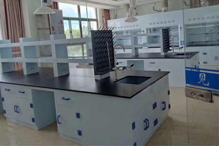 浙江某某集團PP實(shí)驗臺家具